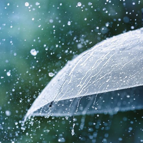 Z Weather Update: Increased Rainfall Expected Across Jamaica Sunday Through Wednesday, Met Service