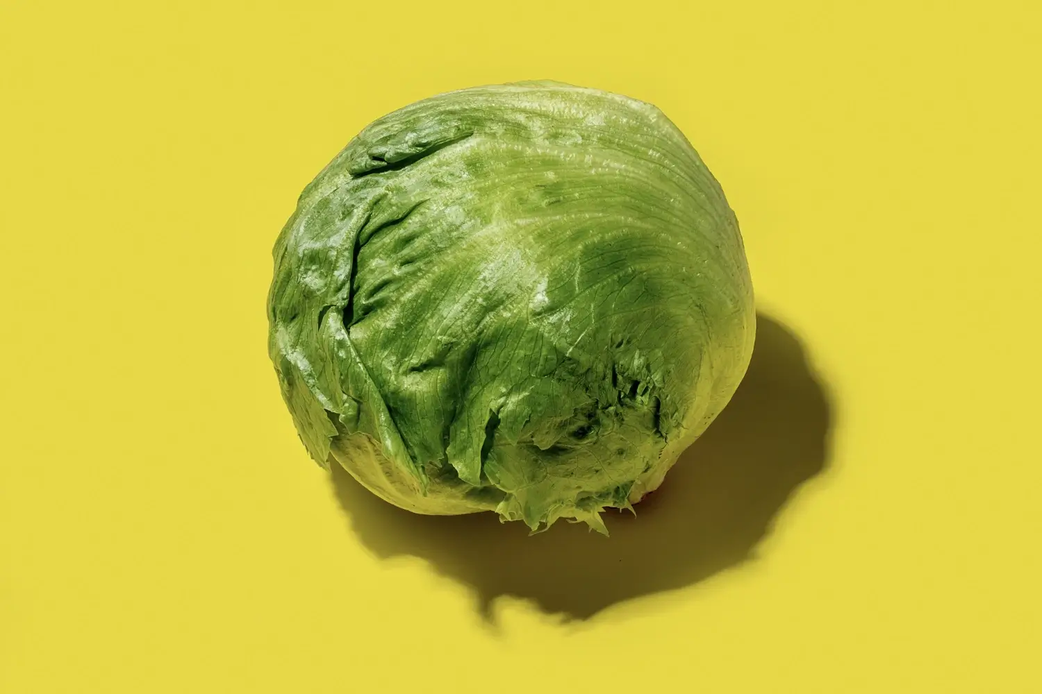Lettuce Linked to US Diarrhoea Outbreak Tests Positive for Parasite